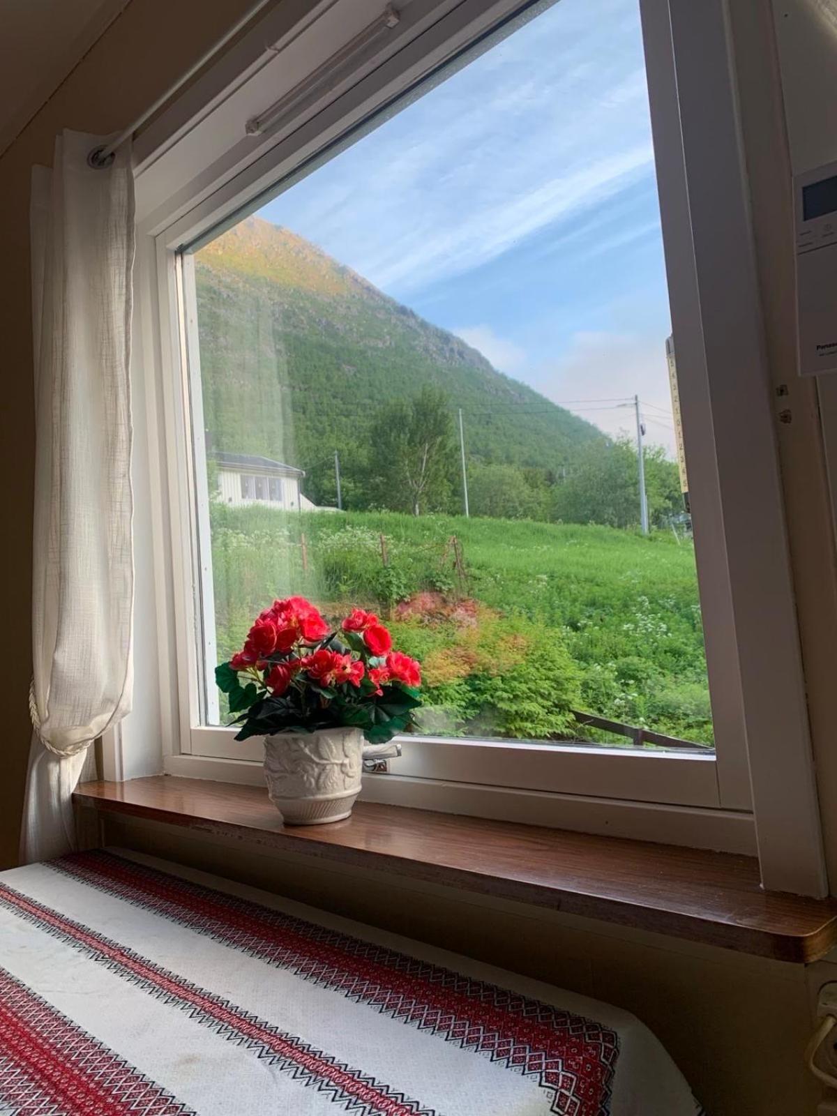 House Apartment Gryllefjord Екстериор снимка
